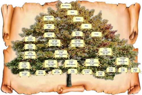 генеалогическое дерево